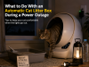What to Do With an Automatic Cat Litter Box During a Power Outage automatic litter box during a power outage
